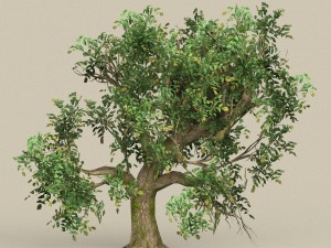 game ready tree 09 Model 3D