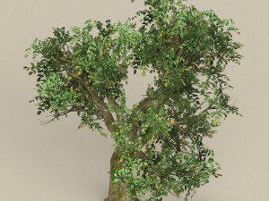 game ready tree 09 Model 3D