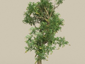 game ready tree 10 Model 3D
