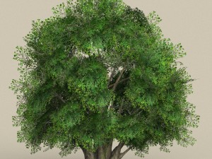 game ready low poly 10 tree collection Modello 3D
