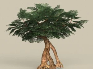 game ready low poly 10 tree collection 3D Model