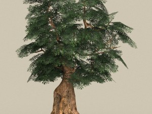 game ready low poly 10 tree collection Modello 3D