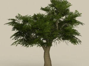 game ready low poly 10 tree collection 3D Model