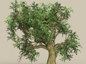 game ready low poly 10 tree collection Modello 3D