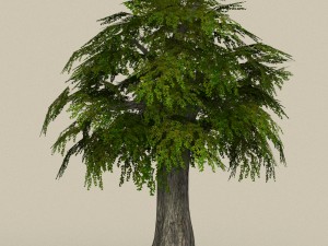 game ready tree 11 3D मॉडल