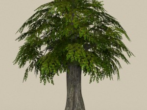 game ready tree 11 3D Модель