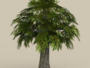 game ready tree 11 3D Модель