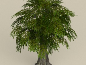 game ready tree 11 3D Модель