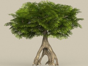 game ready tree 12 3D 모델
