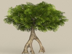 game ready tree 12 3D Model