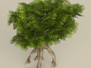 game ready tree 12 3D Model