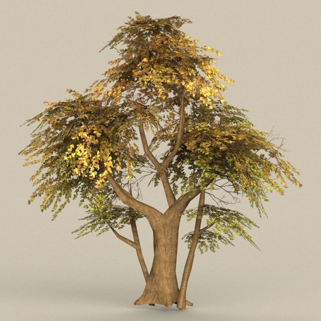 game ready tree 13 Model 3D .c4d .max .obj .3ds .fbx .stl .blend 