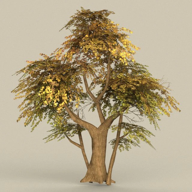 game ready tree 13 3D Model .c4d .max .obj .3ds .fbx .stl .blend