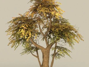 &aacute;rvore pronta para jogo 13 Modelo 3D