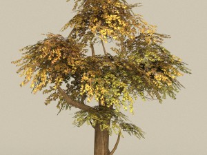 game ready tree 13 Model 3D