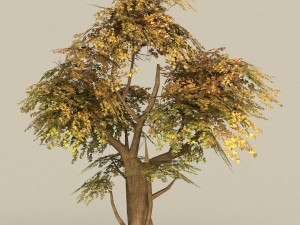 game ready tree 13 Model 3D