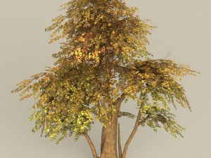 game ready tree 13 Model 3D