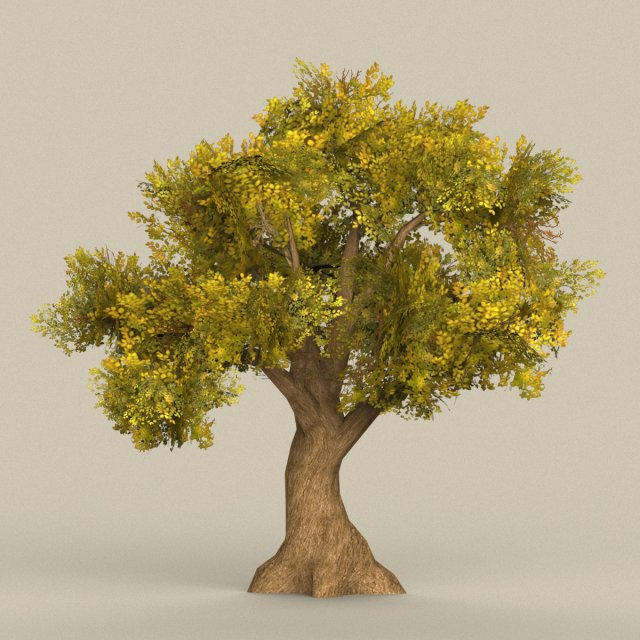 game ready tree 14 3D Модель .c4d .max .obj .3ds .fbx .stl .blend 