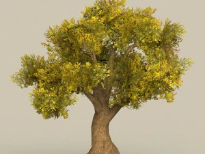 game ready tree 14 3D Model