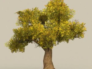 &aacute;rvore pronta para jogo 14 Modelo 3D