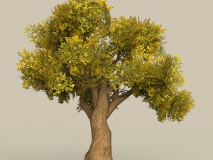 game ready tree 14 3D Модель