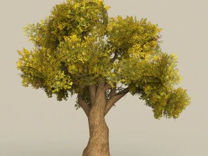 &aacute;rvore pronta para jogo 14 Modelo 3D