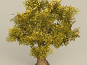 game ready tree 14 3D Модель