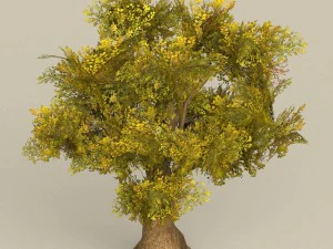 &aacute;rvore pronta para jogo 14 Modelo 3D