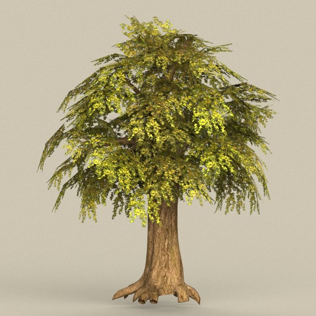game ready tree 15 3Dモデル .c4d .max .obj .3ds .fbx .stl .blend 