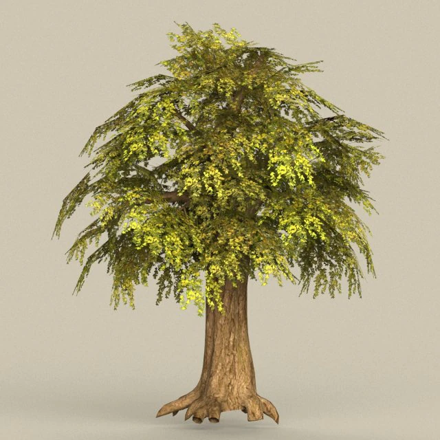 game ready tree 15 3D Model .c4d .max .obj .3ds .fbx .stl .blend 
