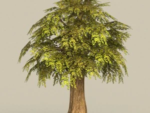 game ready tree 15 3D Model