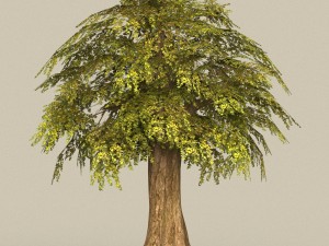 game ready tree 15 3Dモデル