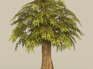 game ready tree 15 3D Model