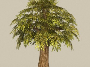 game ready tree 15 3Dモデル