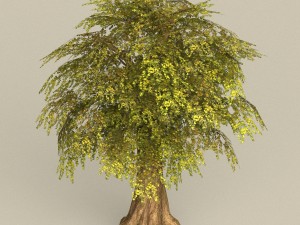 game ready tree 15 3Dモデル