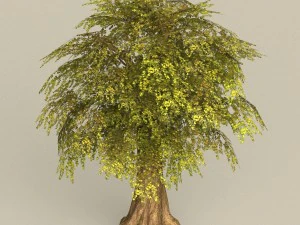 game ready tree 15 3D Model