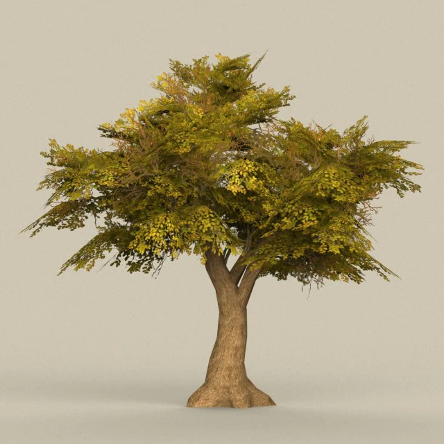 game ready tree 16 3D Model .c4d .max .obj .3ds .fbx .stl .blend 