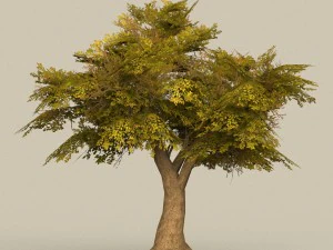 game ready tree 16 3D Model