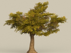 game ready tree 16 Model 3D