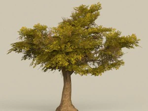 game ready tree 16 3D Model