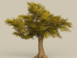 game ready tree 16 Model 3D