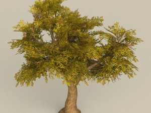 game ready tree 16 Model 3D
