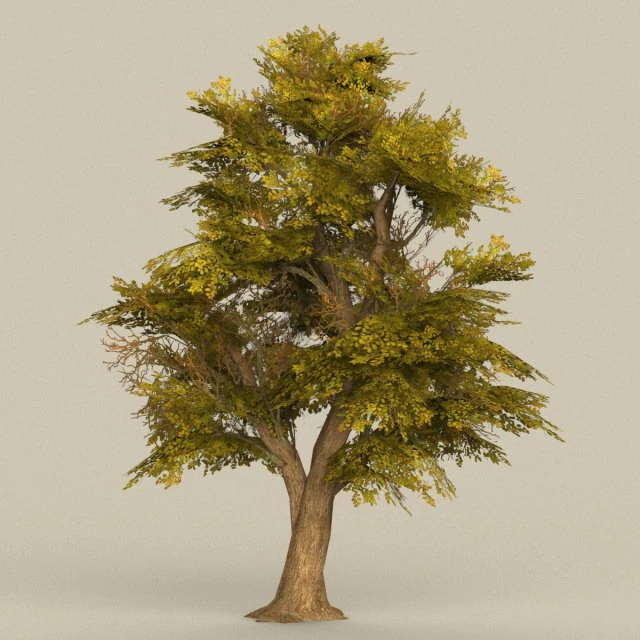 game ready tree 17 3D Model .c4d .max .obj .3ds .fbx .stl .blend 