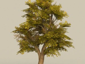 Spielbereiter Baum 17 3D Modell