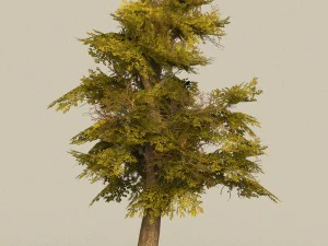 game ready tree 17 3D Model