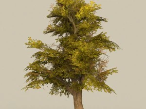game ready tree 17 3D Model