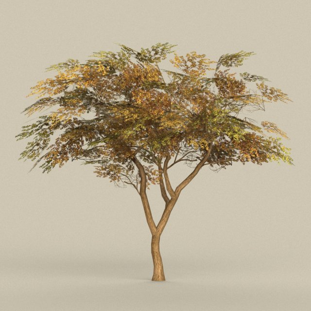 game ready tree 18 Modèle 3D .c4d .max .obj .3ds .fbx .stl .blend 