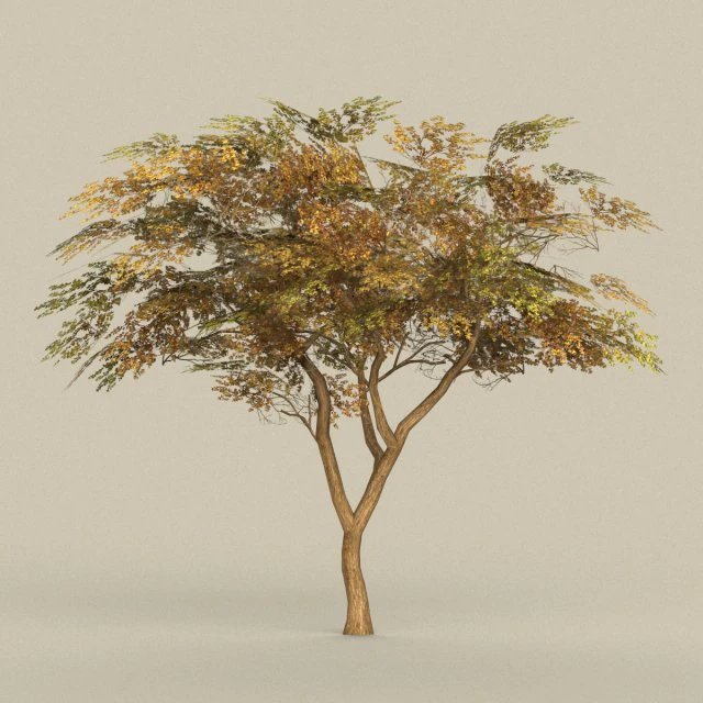 game ready tree 18 3D Model .c4d .max .obj .3ds .fbx .stl .blend