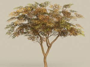 game ready tree 18 3D मॉडल