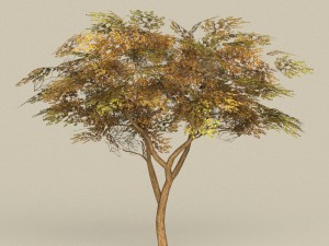 game ready tree 18 Modèle 3D
